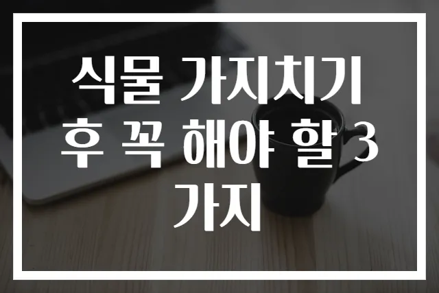 식물 가지치기 후 꼭 해야 할 3가지