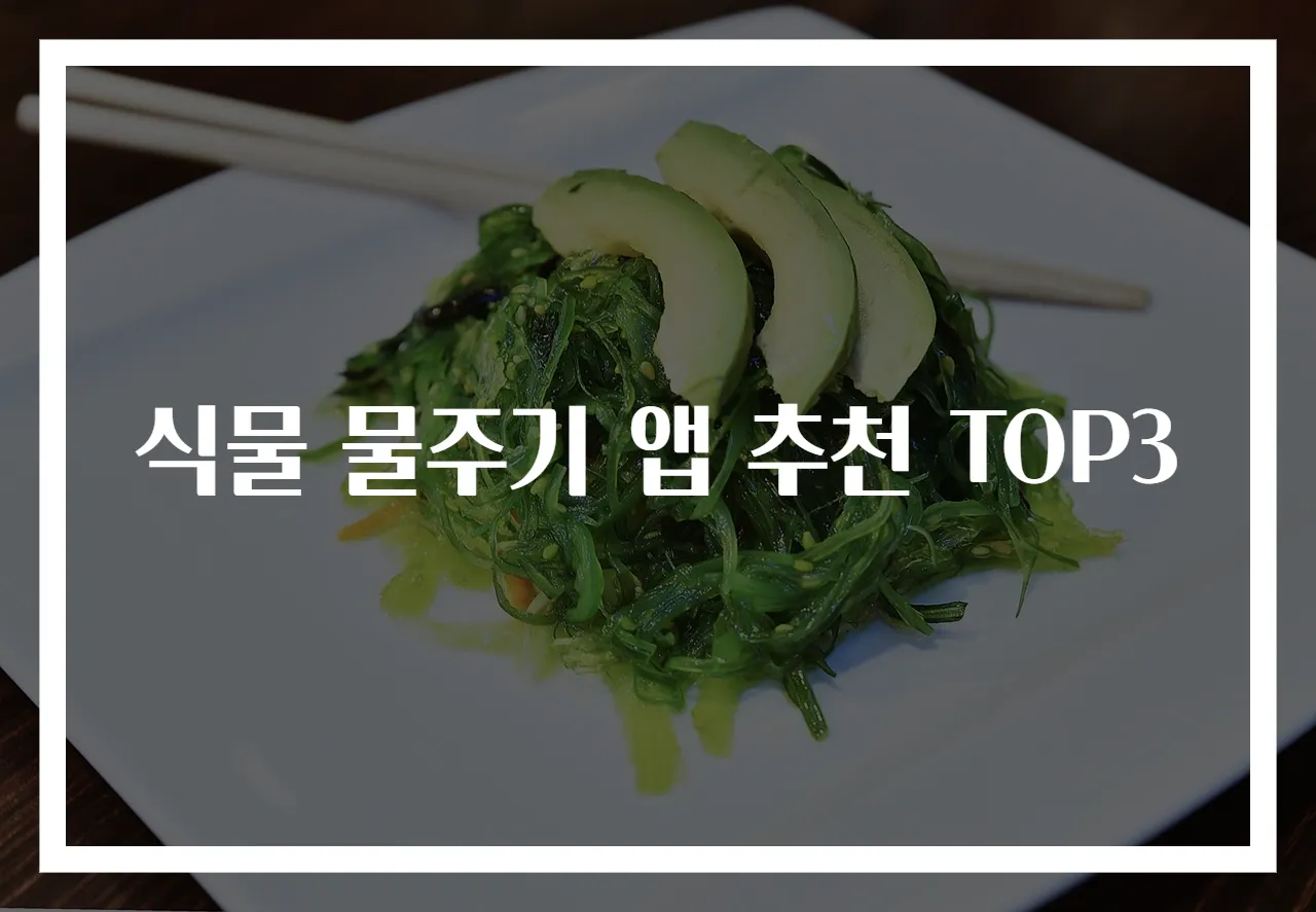 식물 물주기 앱 추천 TOP3