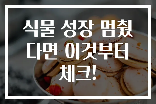 식물 성장 멈췄다면 이것부터 체크!