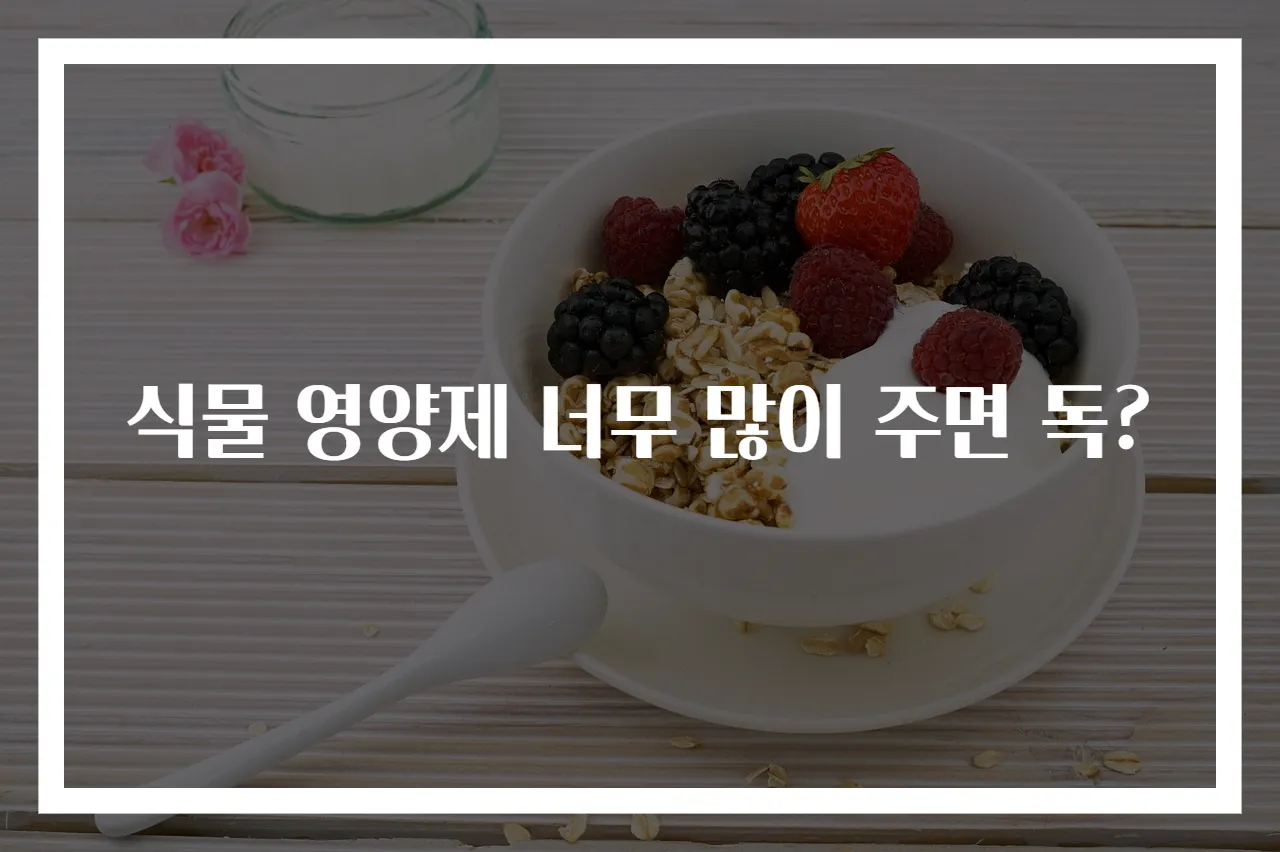 식물 영양제 너무 많이 주면 독?