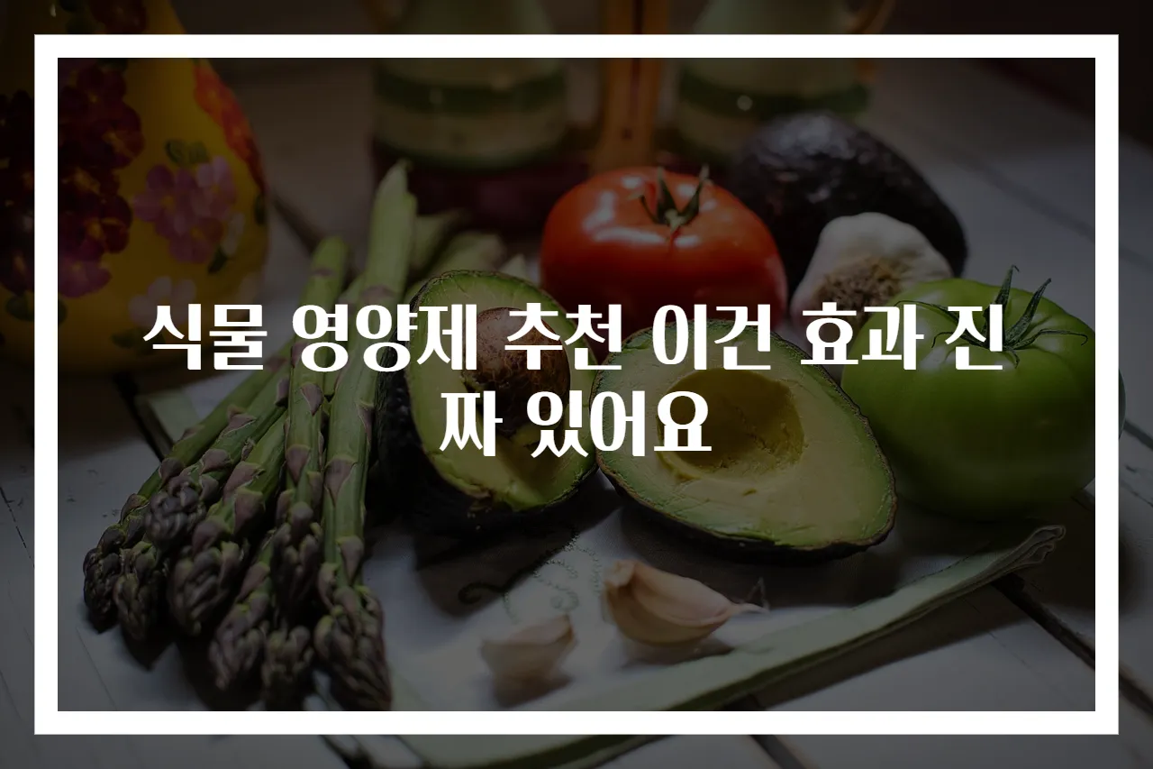 식물 영양제 추천 이건 효과 진짜 있어요