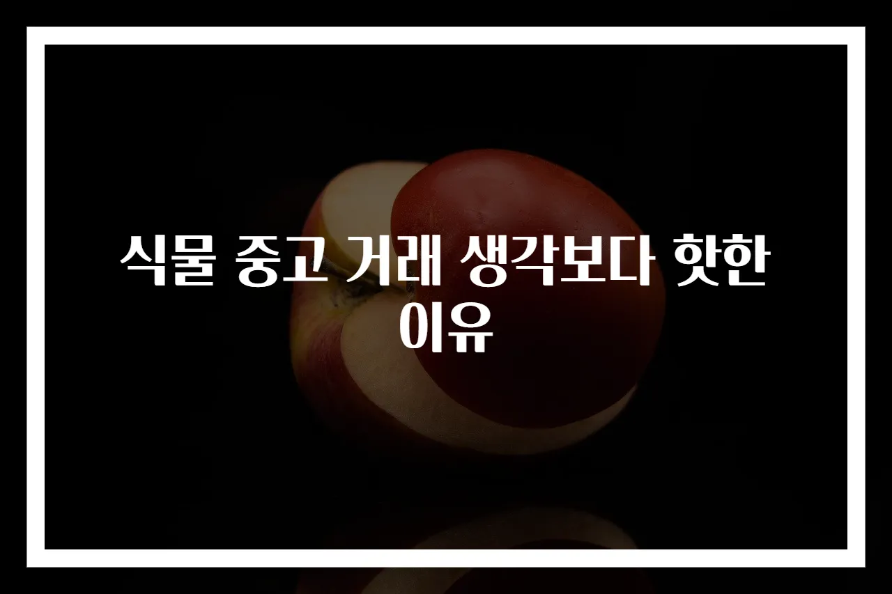 식물 중고 거래 생각보다 핫한 이유