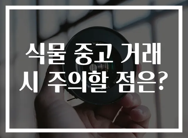 식물 중고 거래 시 주의할 점은?