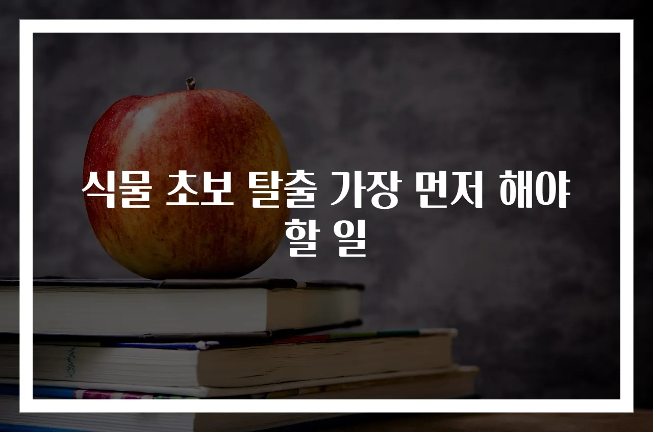 식물 초보 탈출 가장 먼저 해야 할 일