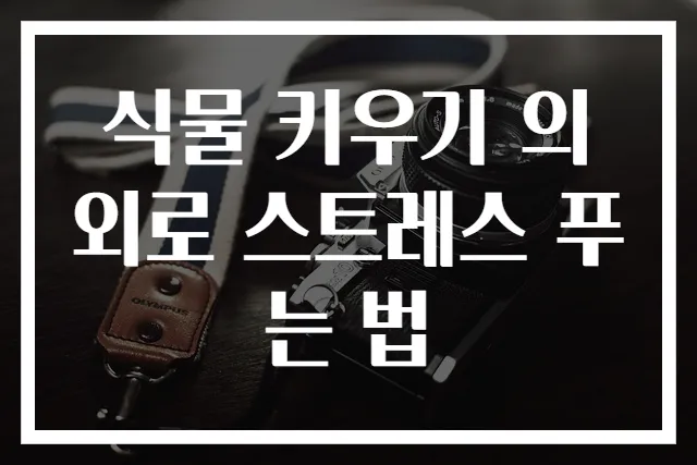 식물 키우기 의외로 스트레스 푸는 법