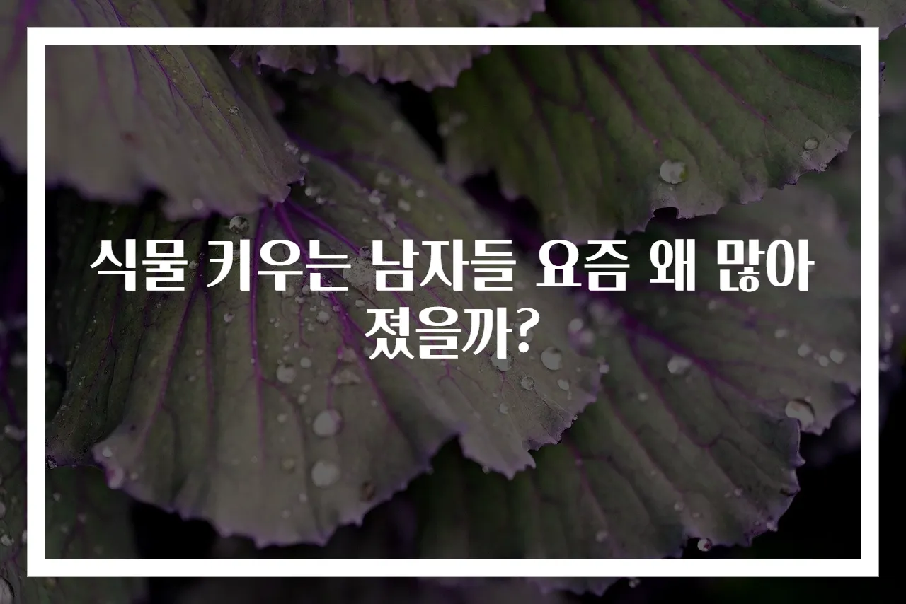 식물 키우는 남자들 요즘 왜 많아졌을까?