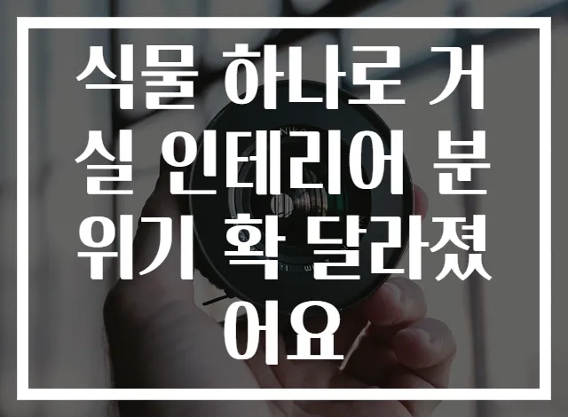식물 하나로 거실 인테리어 분위기 확 달라졌어요