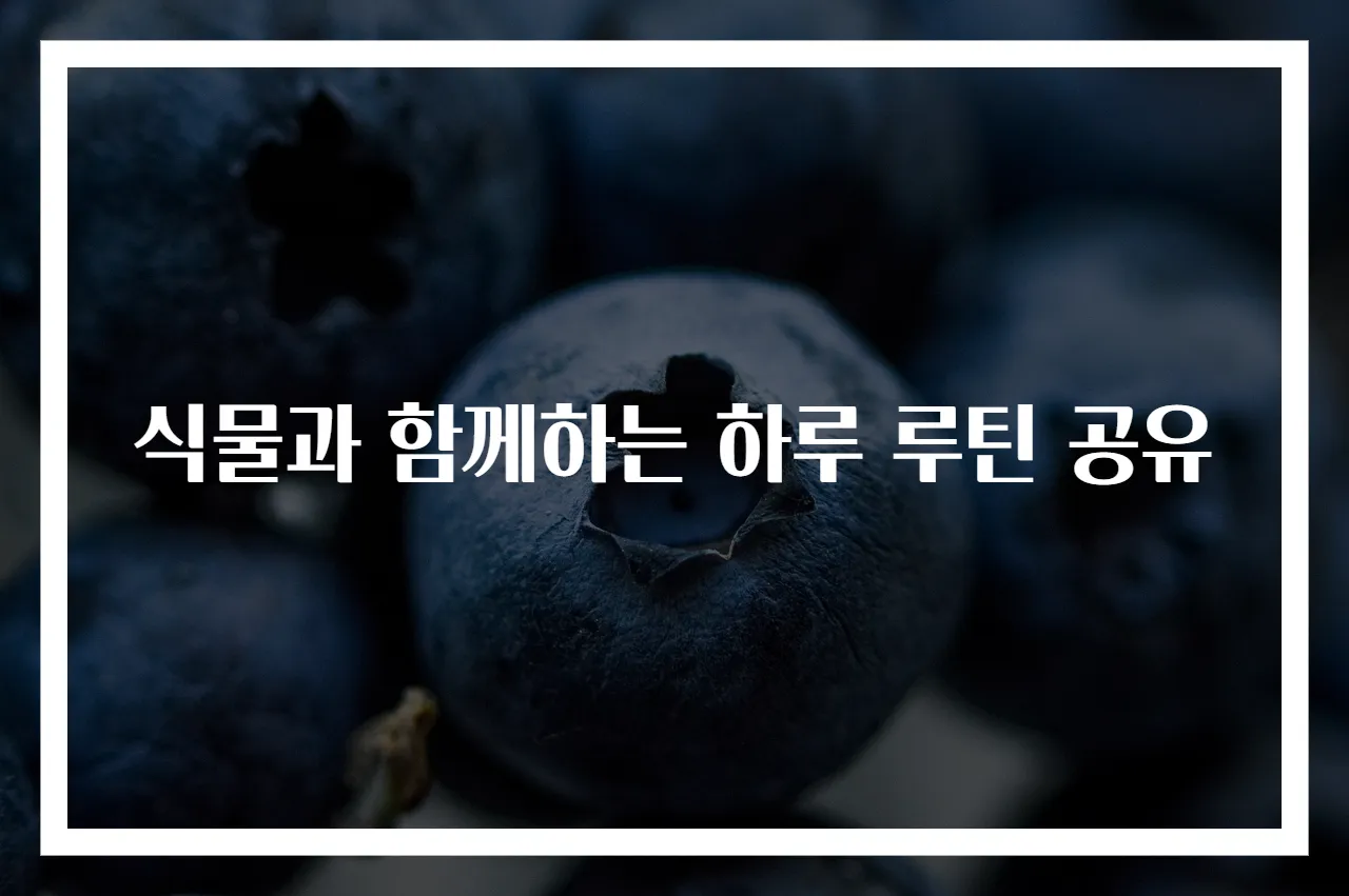 식물과 함께하는 하루 루틴 공유