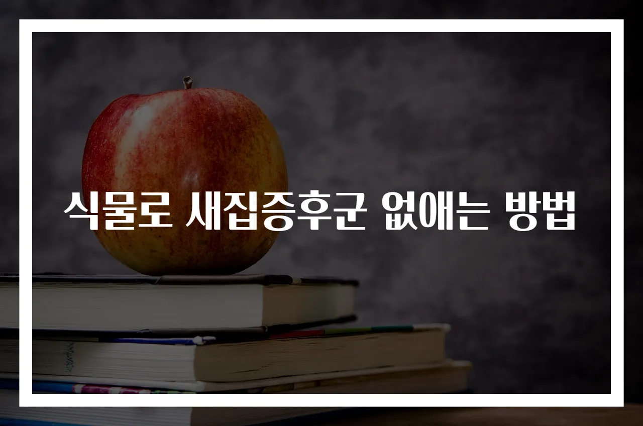 식물로 새집증후군 없애는 방법