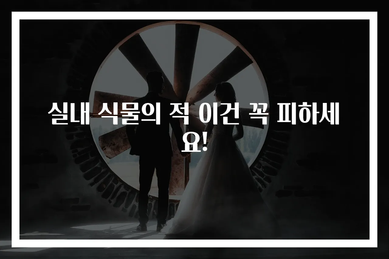 실내 식물의 적 이건 꼭 피하세요!