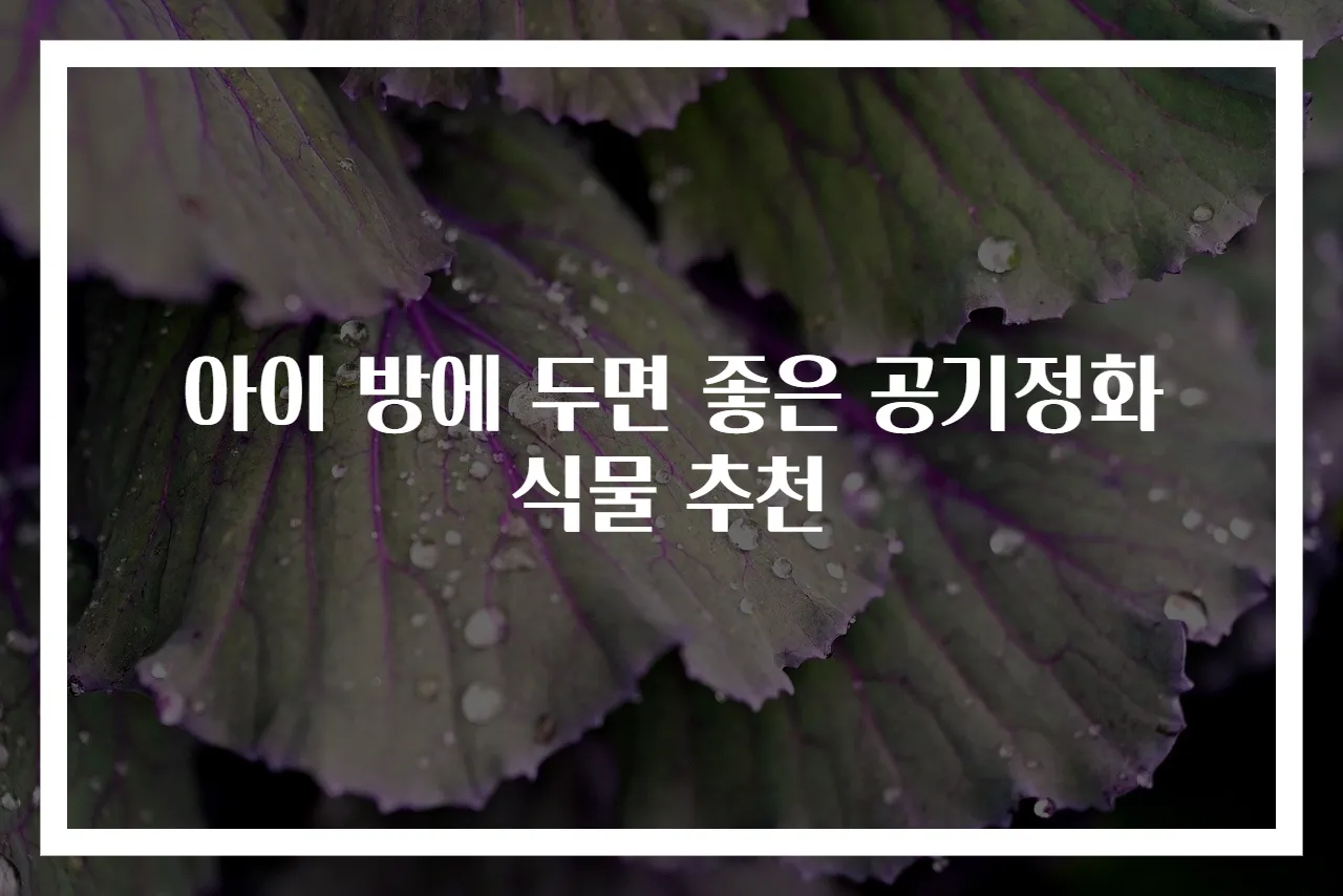 아이 방에 두면 좋은 공기정화 식물 추천