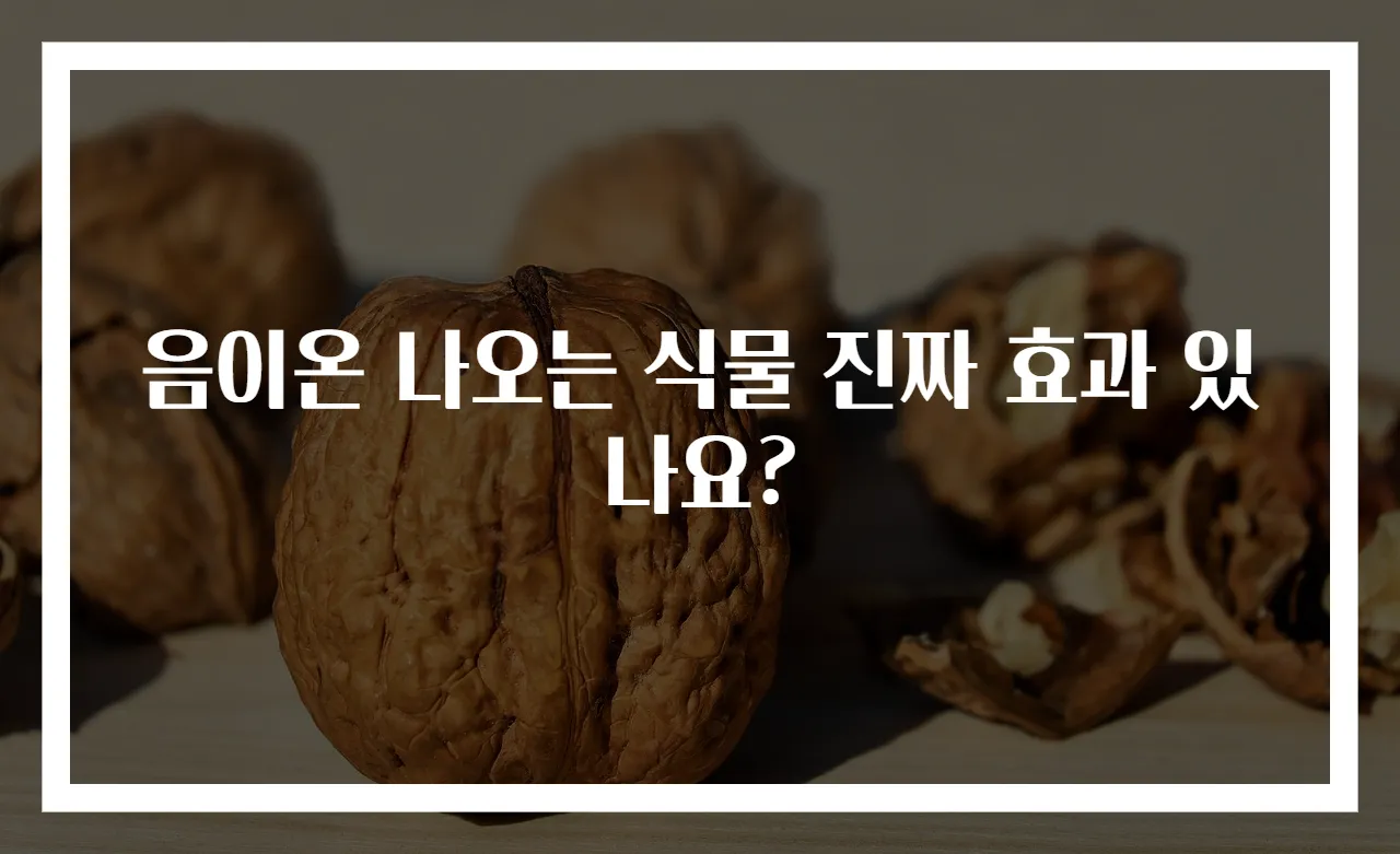 음이온 나오는 식물 진짜 효과 있나요?