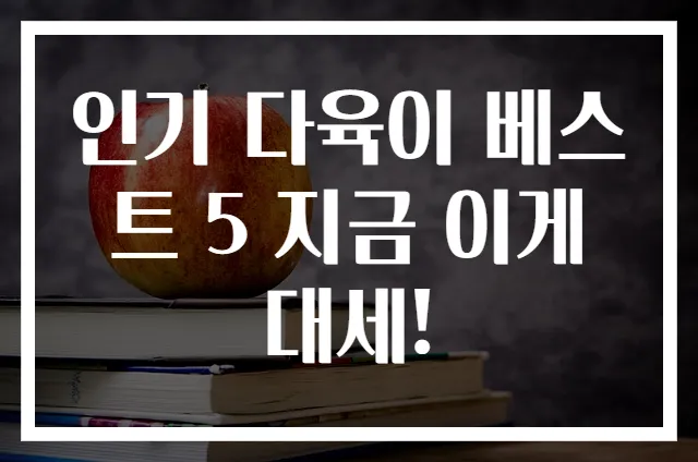 인기 다육이 베스트 5 지금 이게 대세!