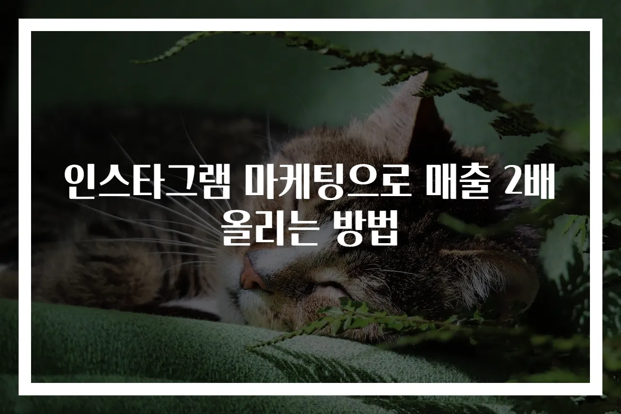 인스타그램 마케팅으로 매출 2배 올리는 방법
