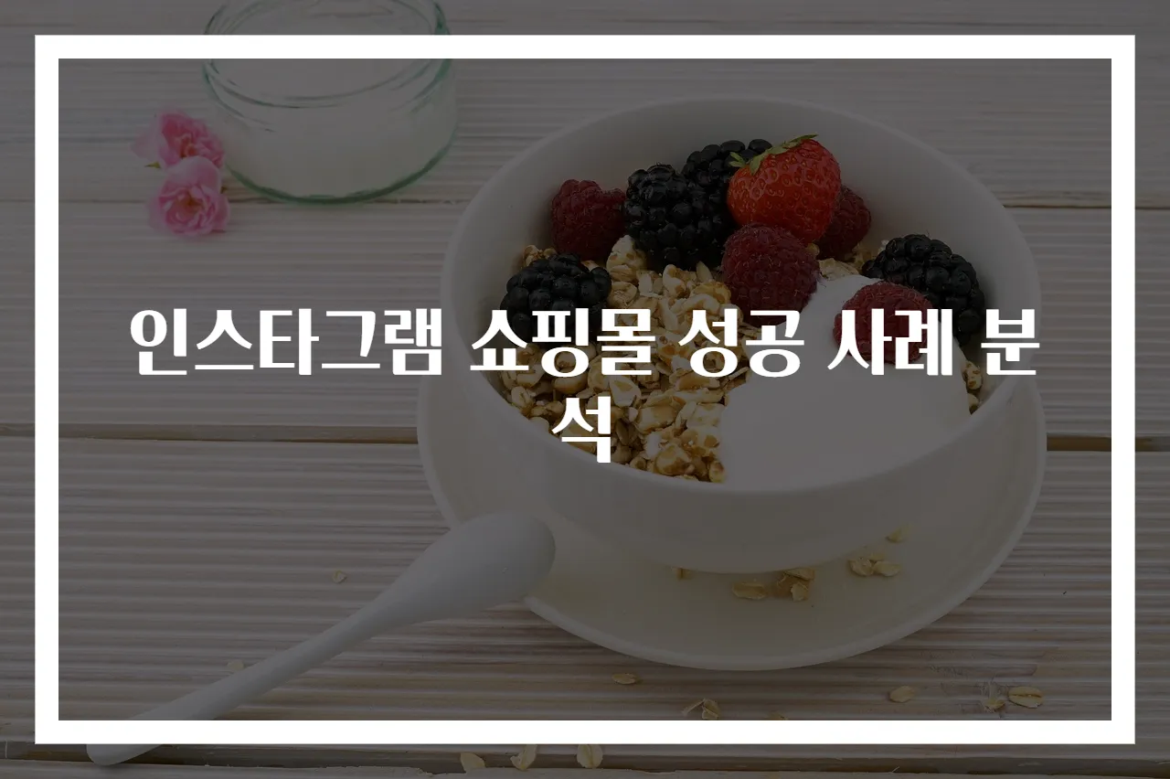 인스타그램 쇼핑몰 성공 사례 분석