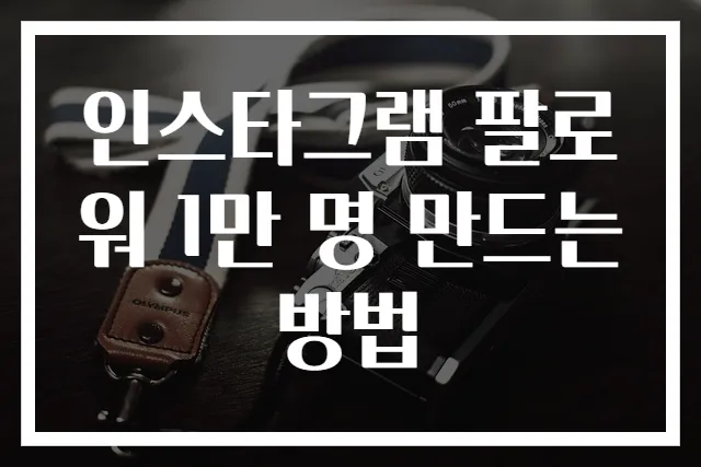 인스타그램 팔로워 1만 명 만드는 방법