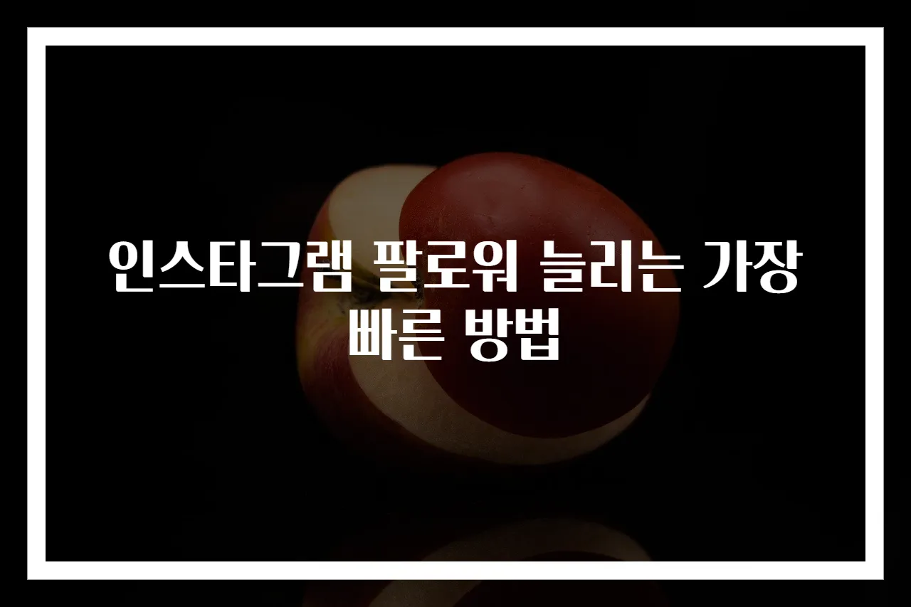 인스타그램 팔로워 늘리는 가장 빠른 방법
