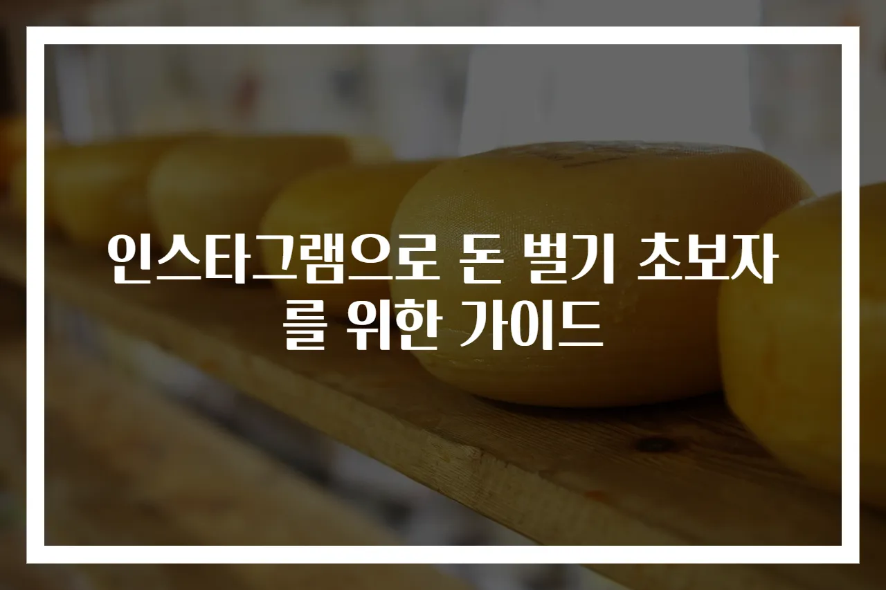 인스타그램으로 돈 벌기 초보자를 위한 가이드