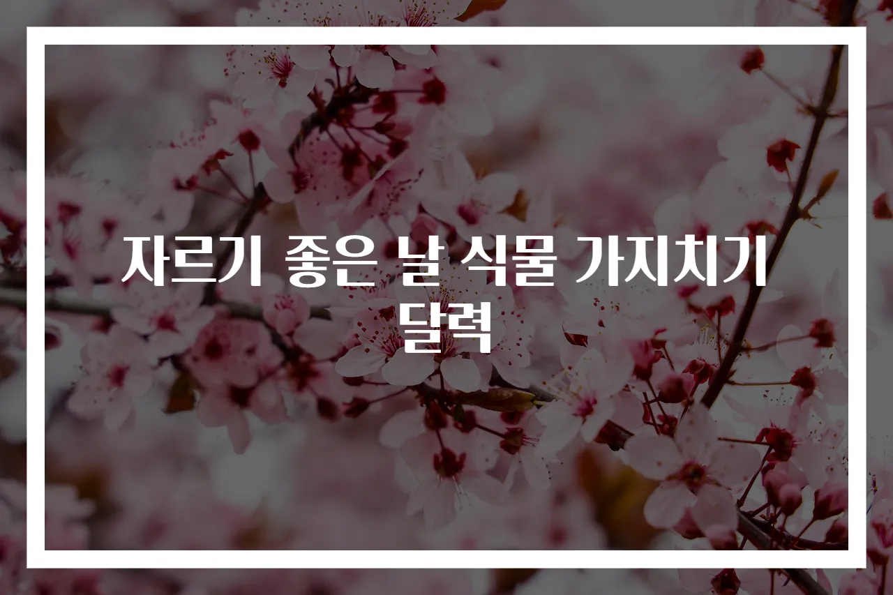 자르기 좋은 날 식물 가지치기 달력