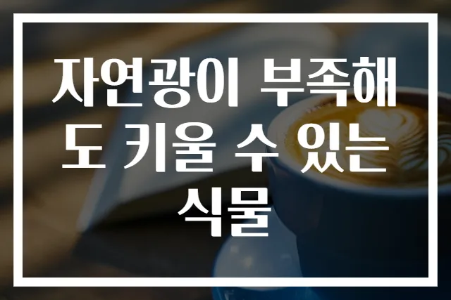 자연광이 부족해도 키울 수 있는 식물
