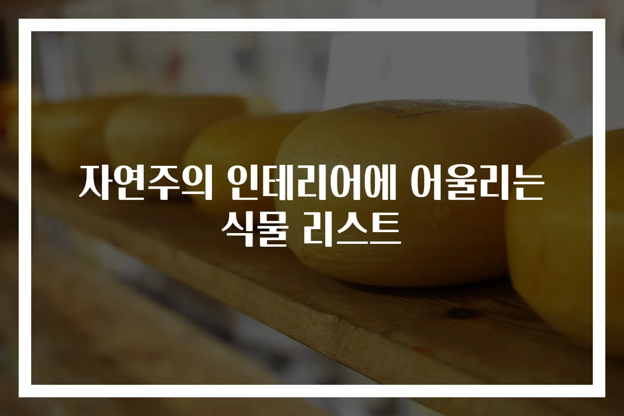 자연주의 인테리어에 어울리는 식물 리스트