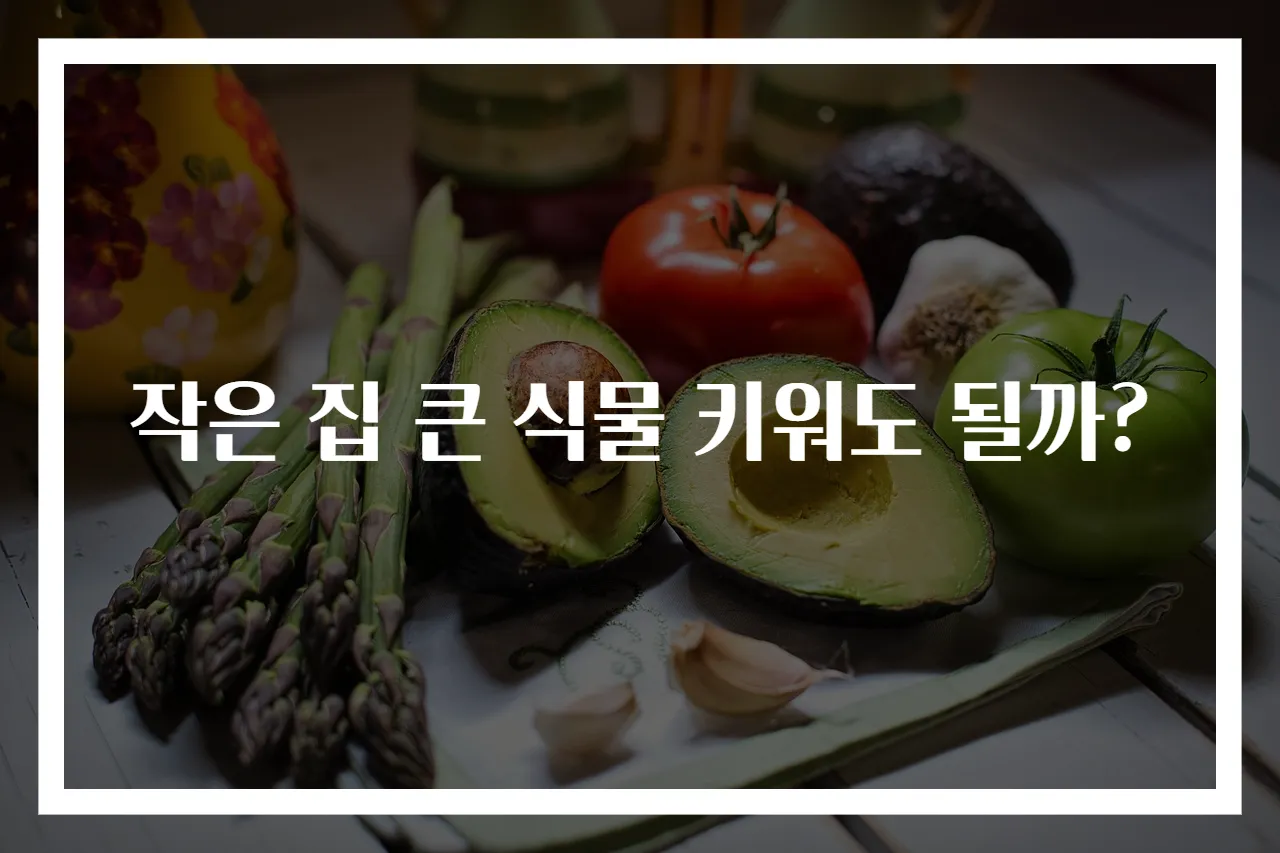 작은 집 큰 식물 키워도 될까?