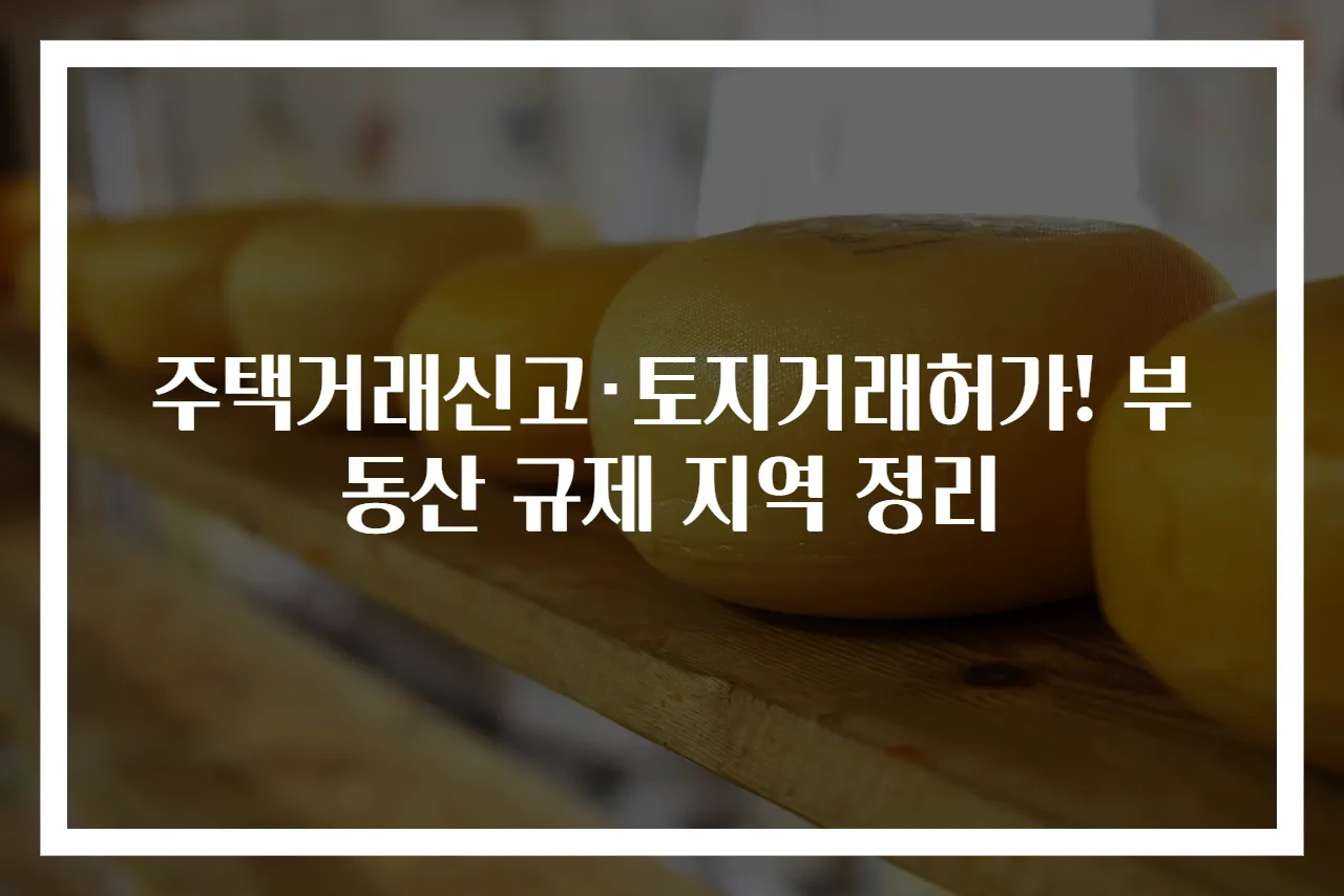 주택거래신고·토지거래허가! 부동산 규제 지역 정리
