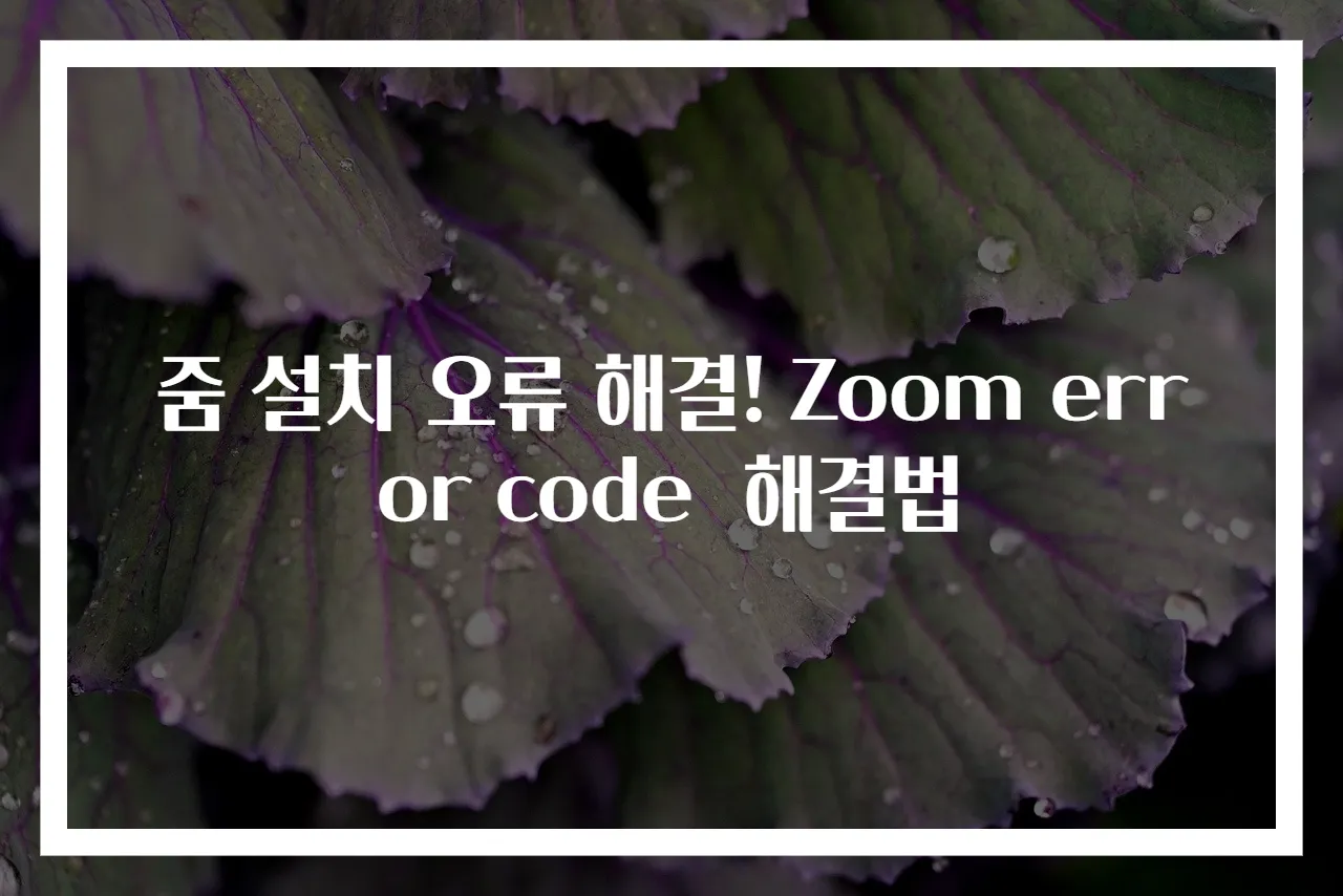 줌 설치 오류 해결! Zoom error code 해결법