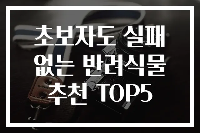 초보자도 실패 없는 반려식물 추천 TOP5