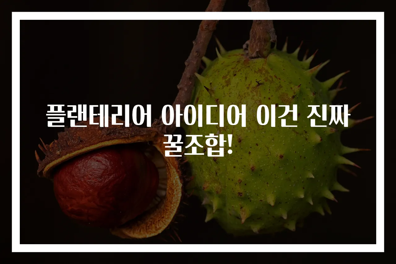 플랜테리어 아이디어 이건 진짜 꿀조합!