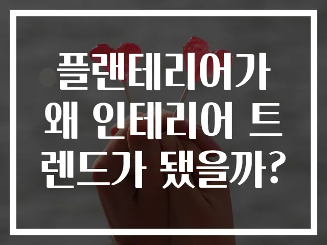 플랜테리어가 왜 인테리어 트렌드가 됐을까?
