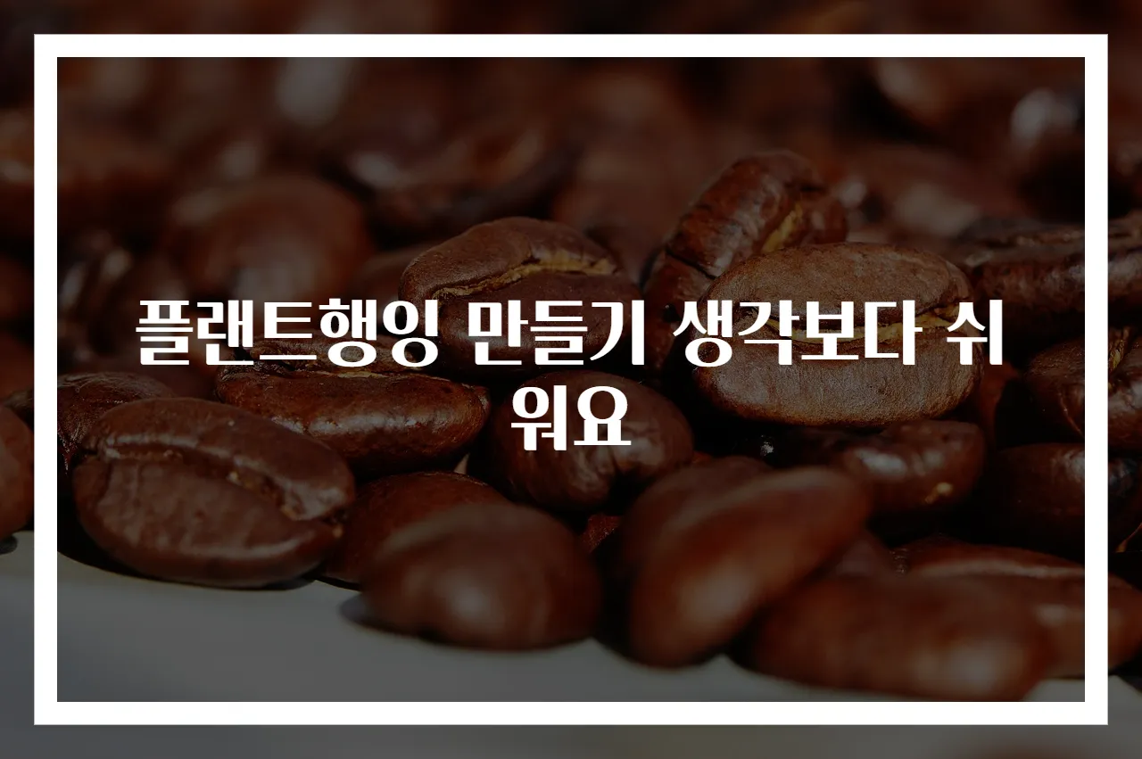 플랜트행잉 만들기 생각보다 쉬워요