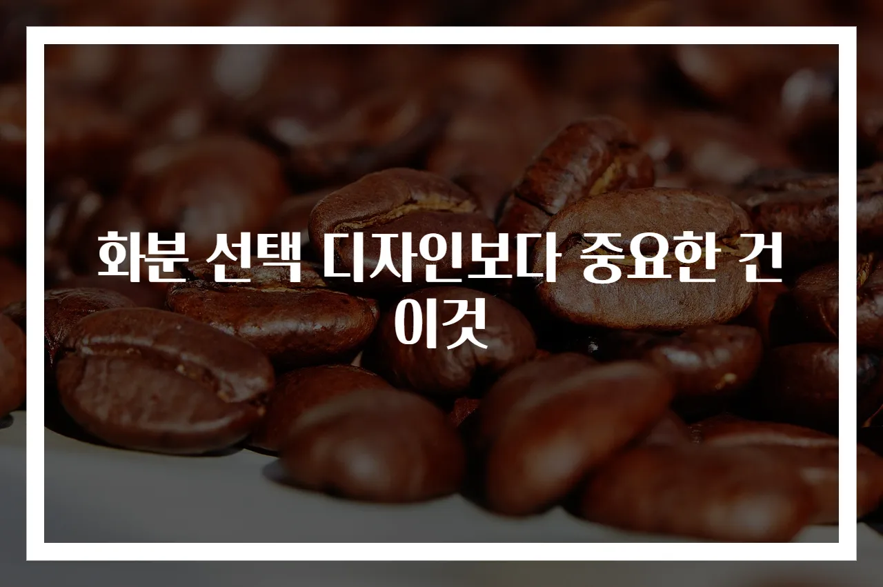 화분 선택 디자인보다 중요한 건 이것