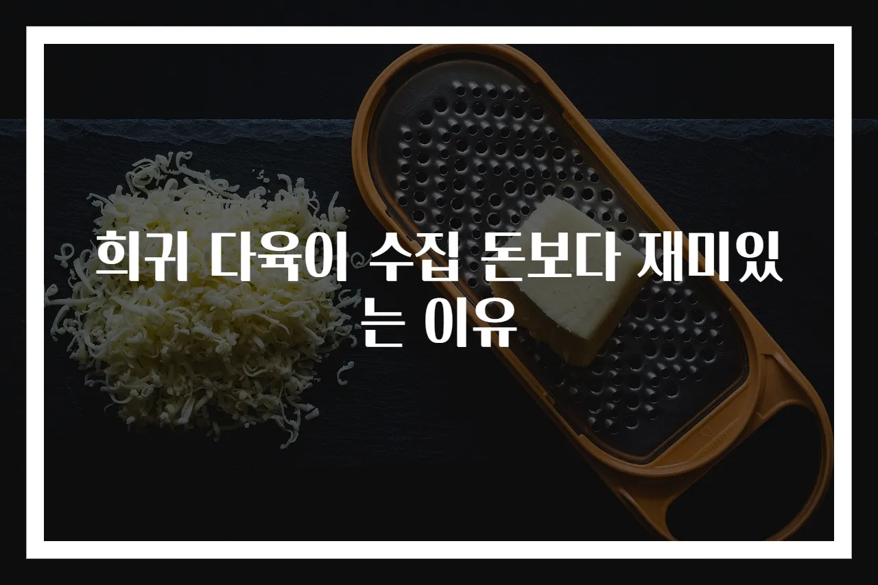 희귀 다육이 수집 돈보다 재미있는 이유
