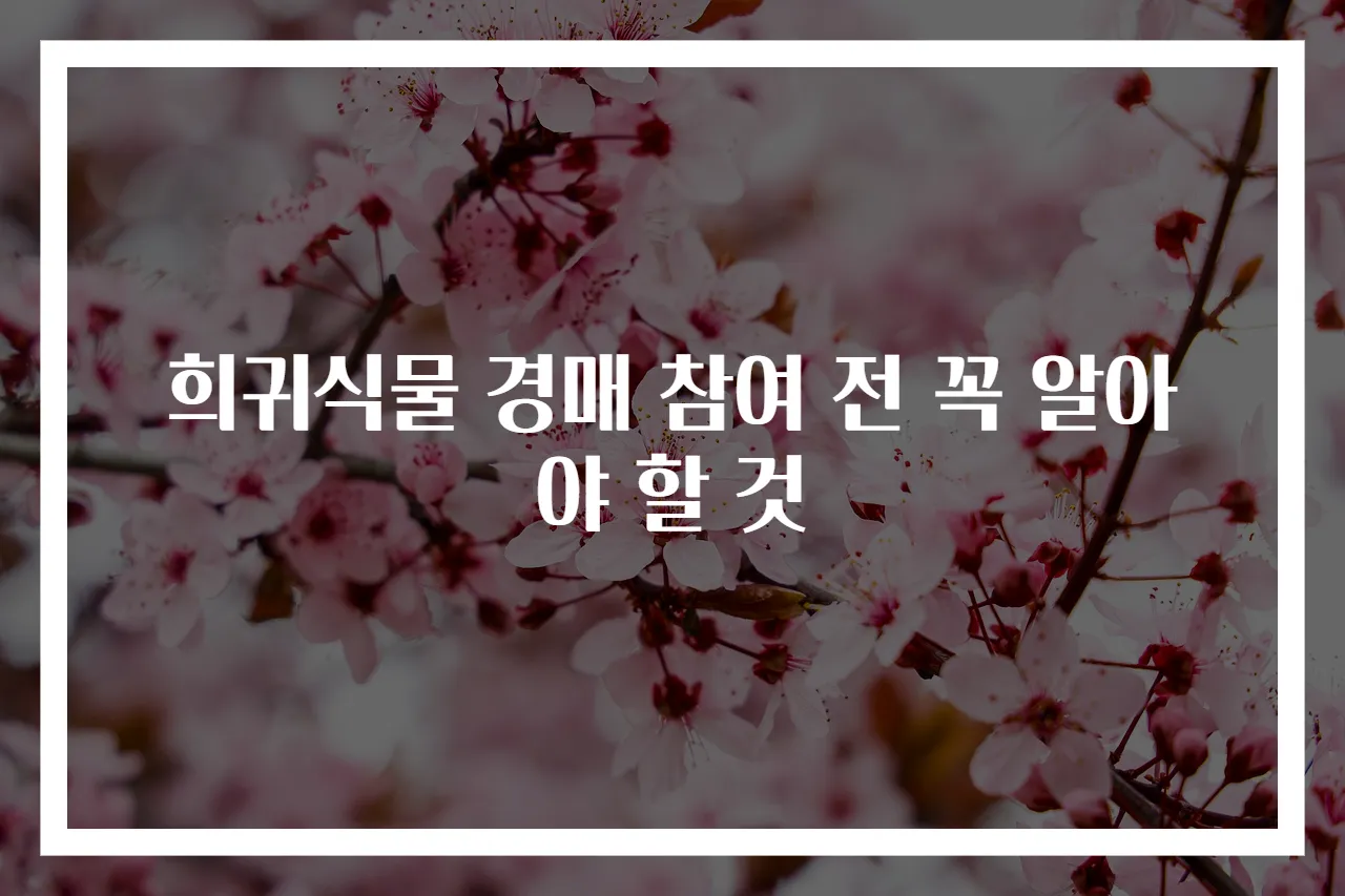 희귀식물 경매 참여 전 꼭 알아야 할 것