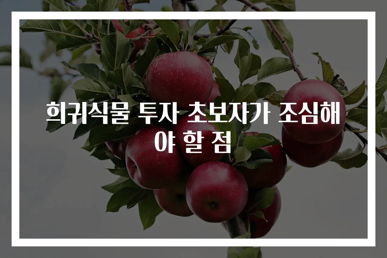 희귀식물 투자 초보자가 조심해야 할 점