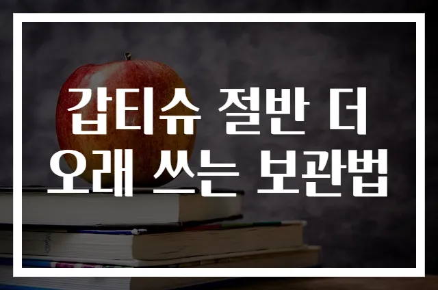 갑티슈 절반 더 오래 쓰는 보관법