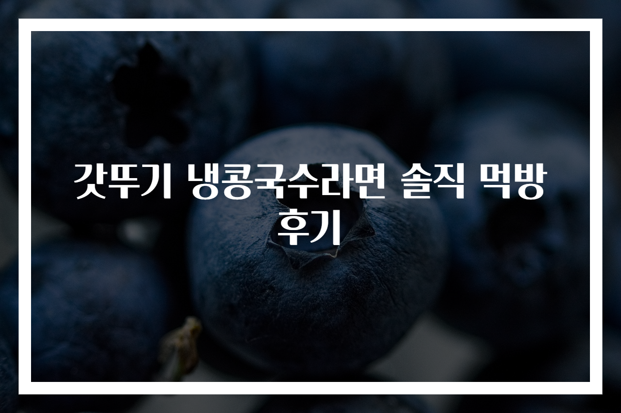 갓뚜기 냉콩국수라면 솔직 먹방 후기