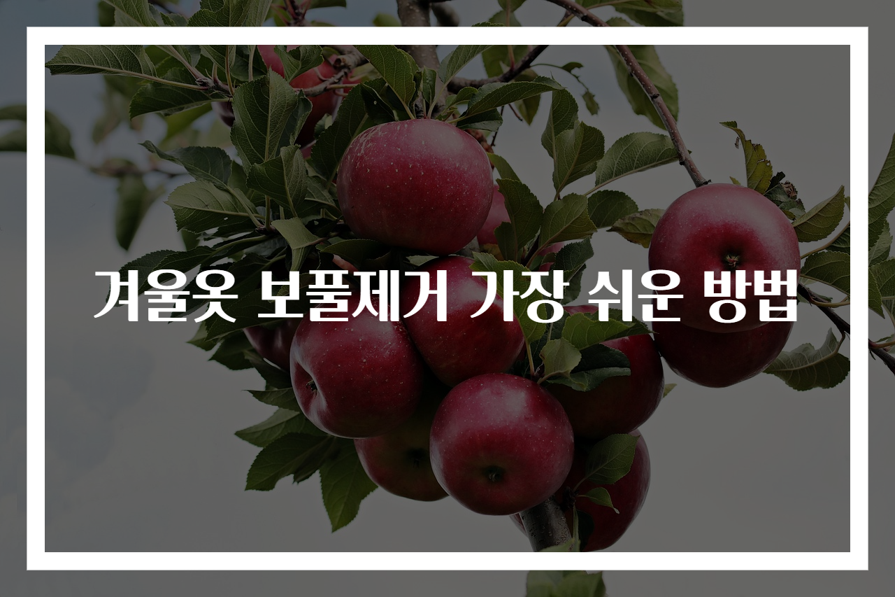 겨울옷 보풀제거 가장 쉬운 방법