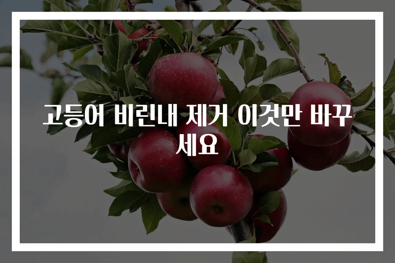 고등어 비린내 제거 이것만 바꾸세요