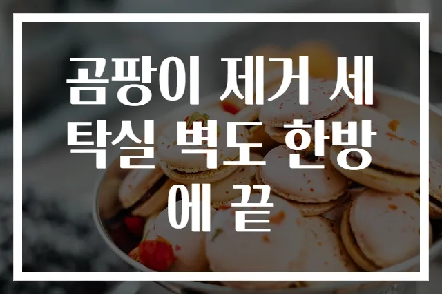 곰팡이 제거 세탁실 벽도 한방에 끝