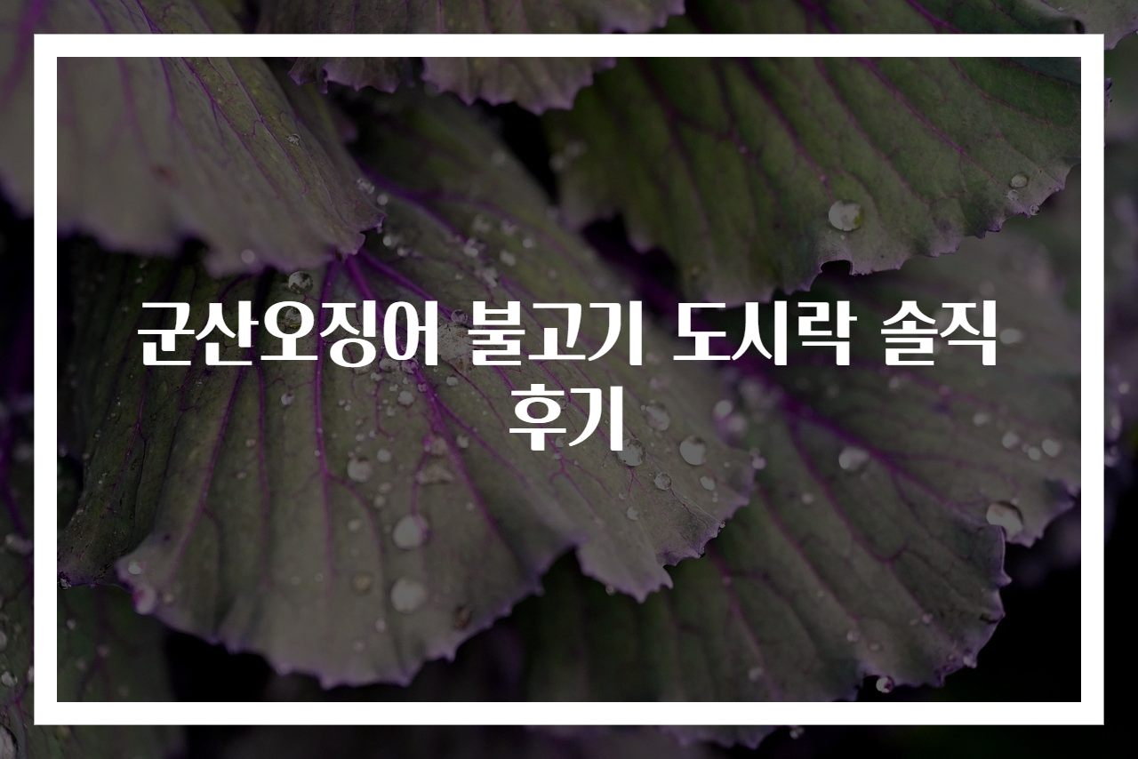 군산오징어 불고기 도시락 솔직 후기