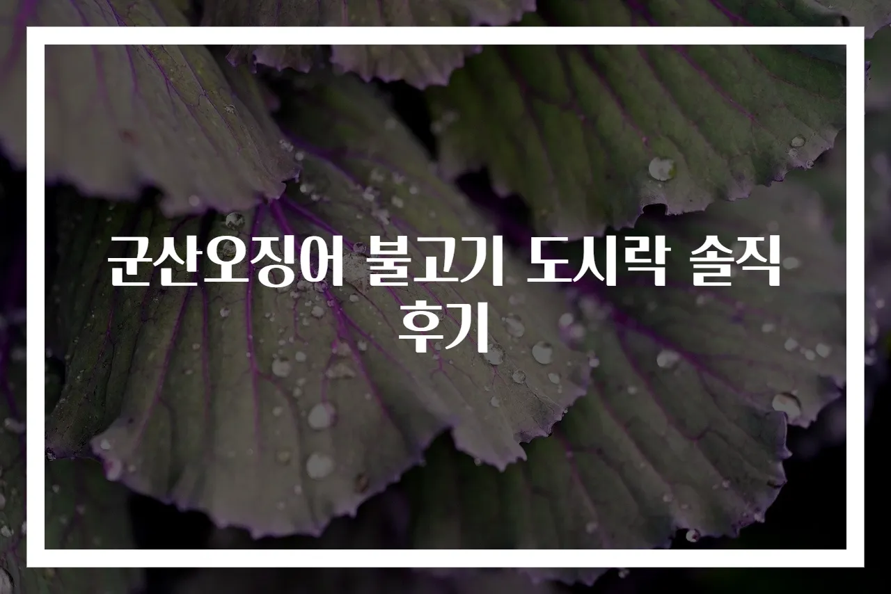 군산오징어 불고기 도시락 솔직 후기