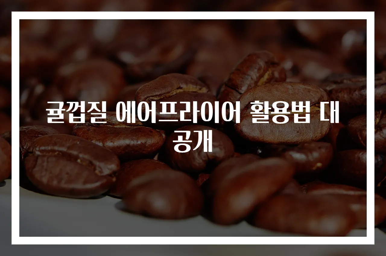귤껍질 에어프라이어 활용법 대공개