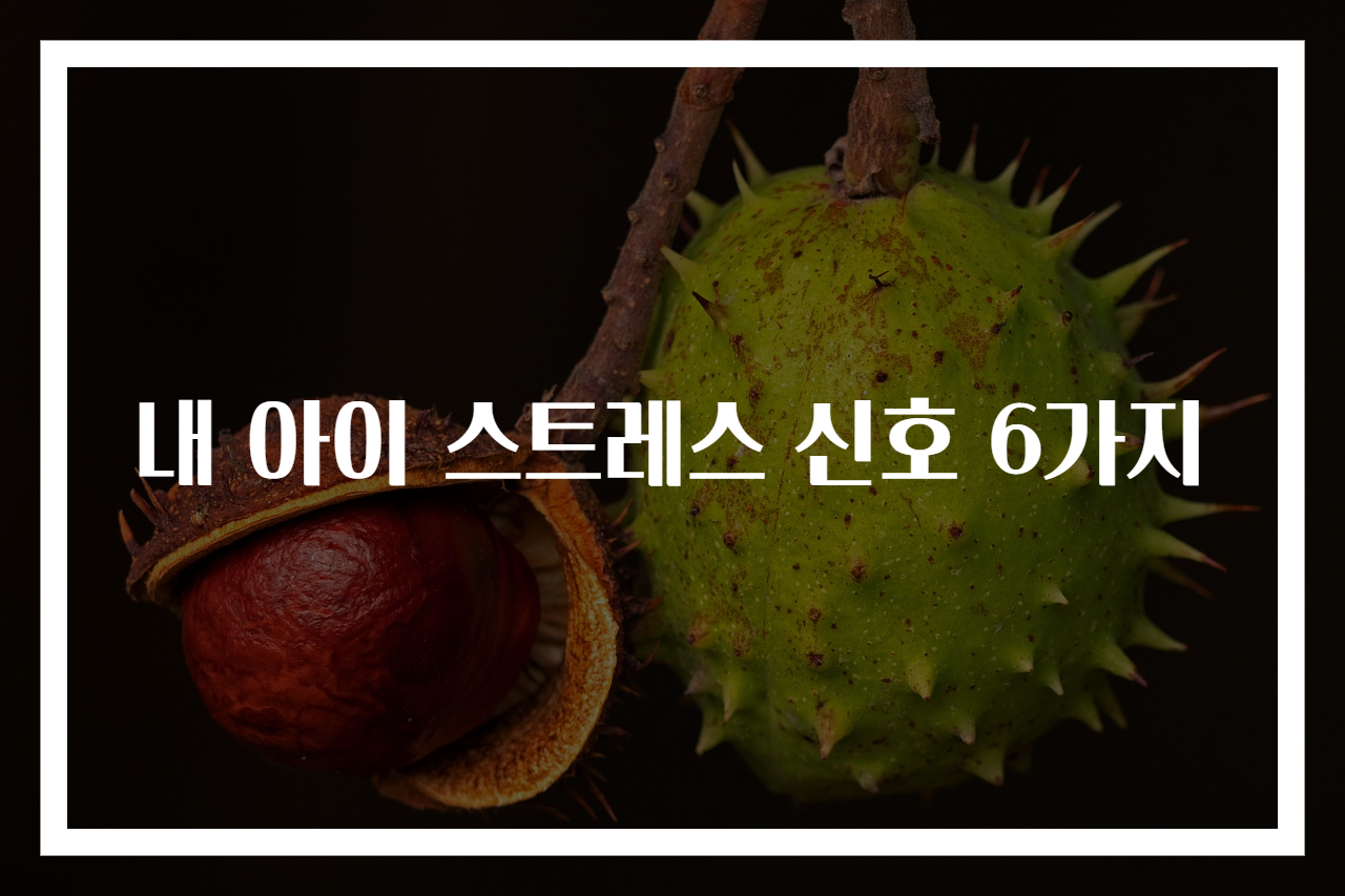 내 아이 스트레스 신호 6가지