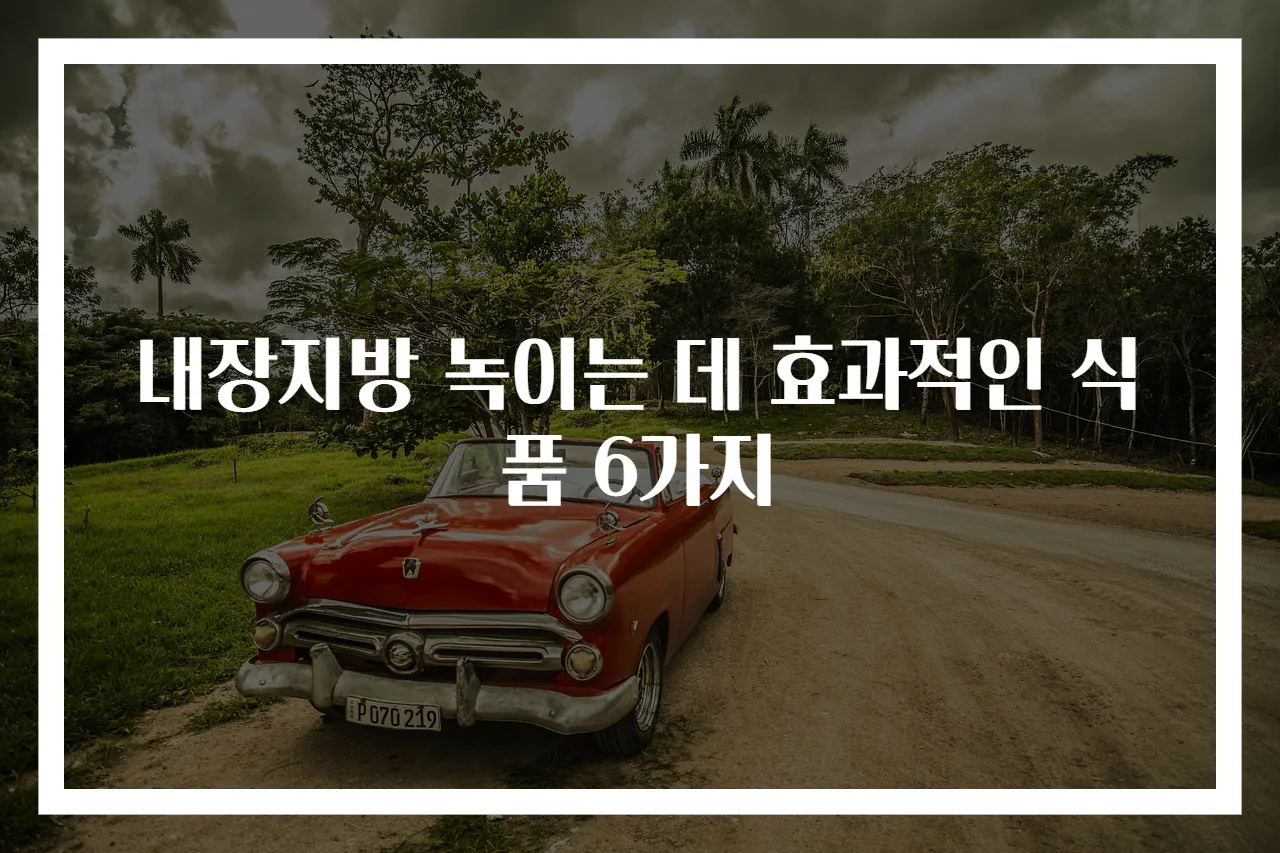 내장지방 녹이는 데 효과적인 식품 6가지