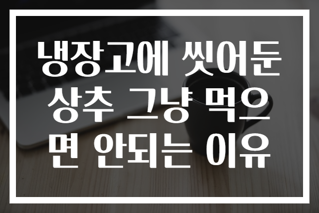 냉장고에 씻어둔 상추 그냥 먹으면 안되는 이유