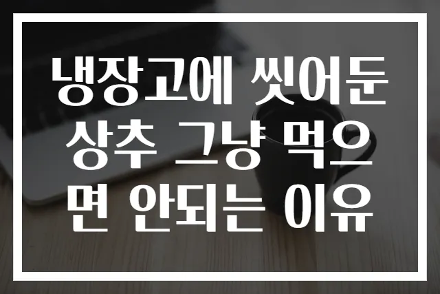 냉장고에 씻어둔 상추 그냥 먹으면 안되는 이유
