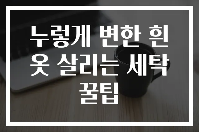 누렇게 변한 흰옷 살리는 세탁 꿀팁