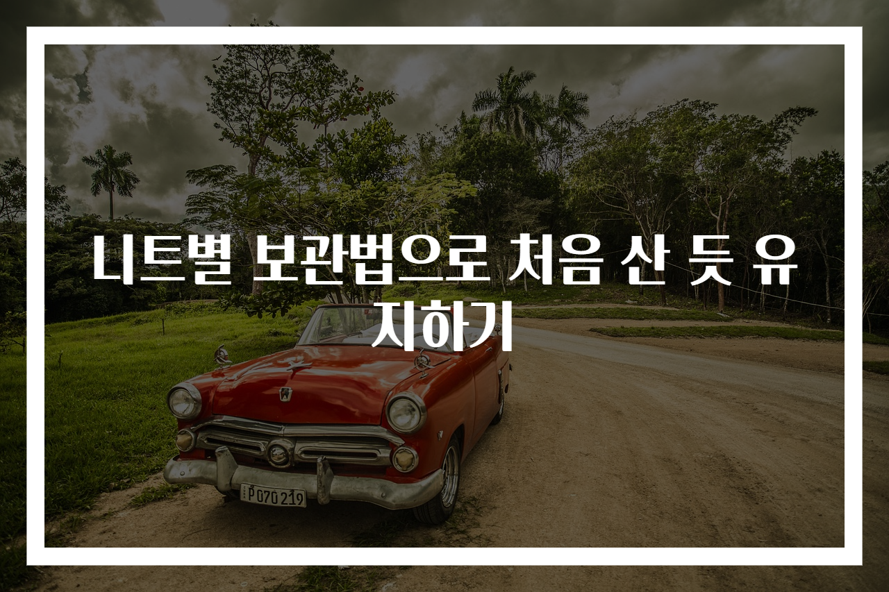 니트별 보관법으로 처음 산 듯 유지하기